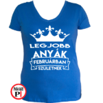 szülinapi póló februárban kék