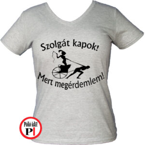 rabszolga lánybúcsú póló szürke