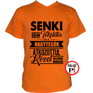 testvér póló tökéletes nagy narancs