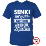testvér póló tökéletes nagy kék