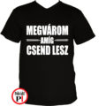 tanár póló megvárom fekete