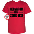tanár póló megvárom piros