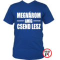 tanár póló megvárom kék