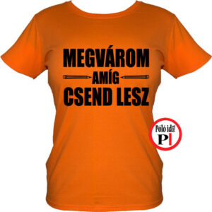 tanár póló megvárom női narancs