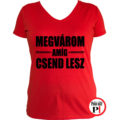 tanár póló megvárom női piros