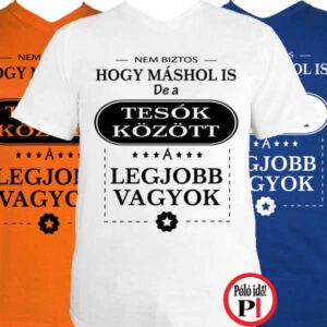 Férfi mások között testvér póló