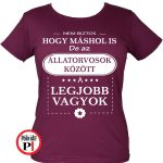 másban is állatorvos póló női burgundi