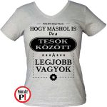 Női mások között testvér póló szürke